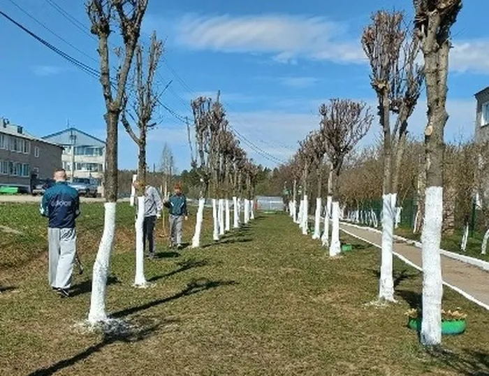 Субботник3